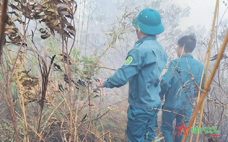 Vân Đồn (Quảng Ninh): Khống chế và dập tắt hoàn toàn cháy rừng tại xã đảo Minh Châu