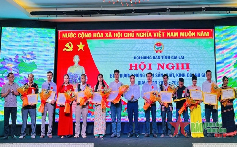 Hơn 9.000 lượt hội viên, nông dân tỉnh Gia Lai được đào tạo nghề trong giai đoạn 2022-2024