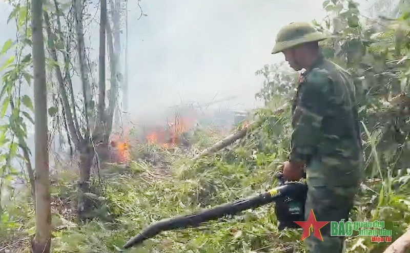 Quảng Ninh: Cháy rừng tại phường Quang Hanh, thành phố Cẩm Phả