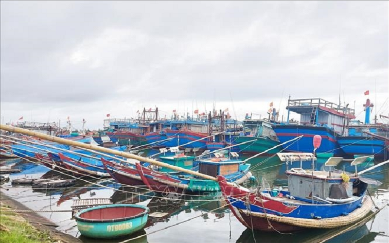 Hỏi - Đáp pháp luật: Mức xử phạt hành chính đối với hành vi vi phạm quy định về cảng cá, khu neo đậu trú bão