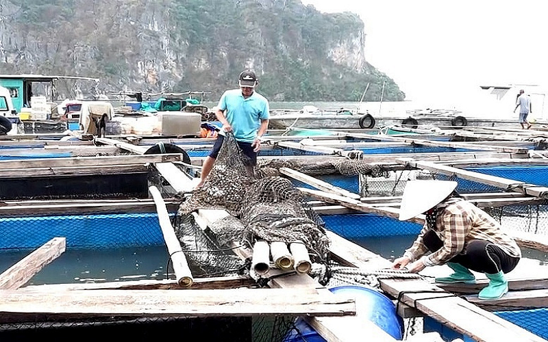 Thủ tướng chỉ đạo không để xảy ra đầu cơ, găm hàng, lợi dụng để trục lợi sau bão lũ