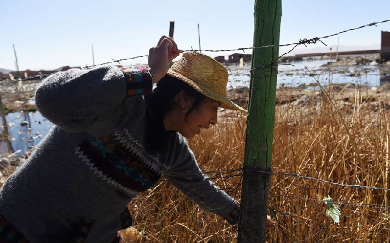 Những “nữ chiến binh xanh” tại Bolivia