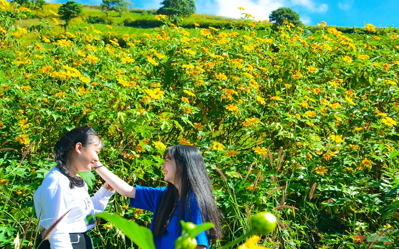 Nhiều hoạt động văn hóa, thể thao trong Tuần lễ Hoa dã quỳ - Núi lửa Chư Đang Ya năm 2024