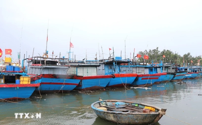 Ứng phó bão số 7: Huy động lực lượng, phương tiện kịp thời xử lý các tình huống