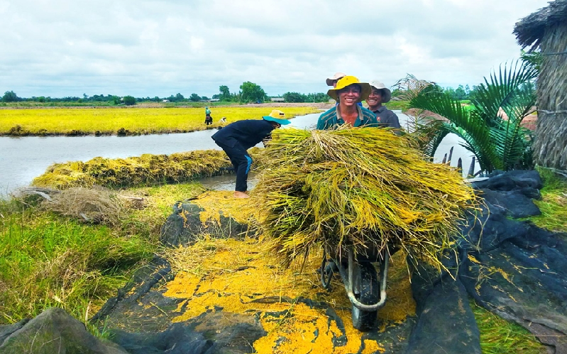 Đồng hành, thúc đẩy phát triển nông nghiệp hữu cơ