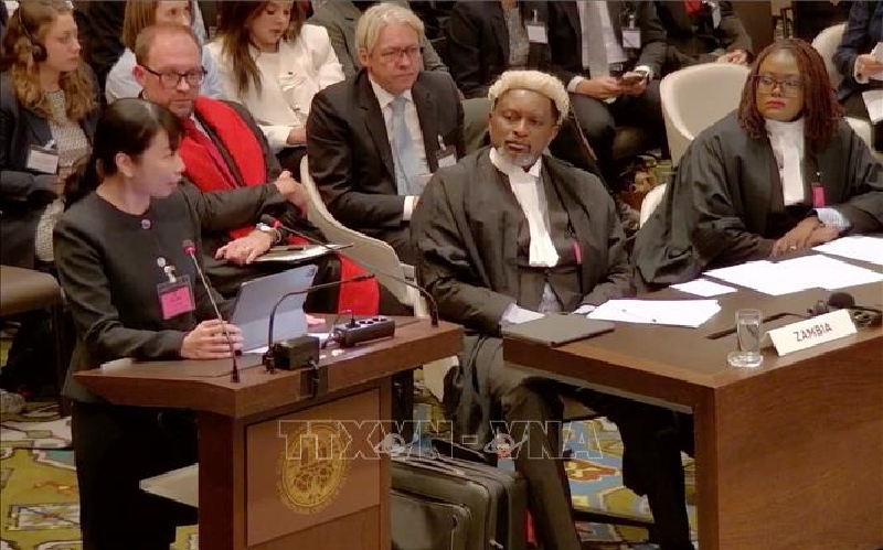 Việt Nam tham dự phiên trình bày của Tòa ICJ về trách nhiệm quốc gia trong biến đổi khí hậu
