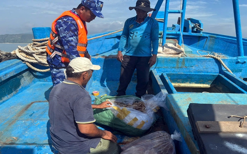 Bộ tư lệnh Vùng Cảnh sát biển 1 bắt giữ tàu vận chuyển thực phẩm không rõ nguồn gốc