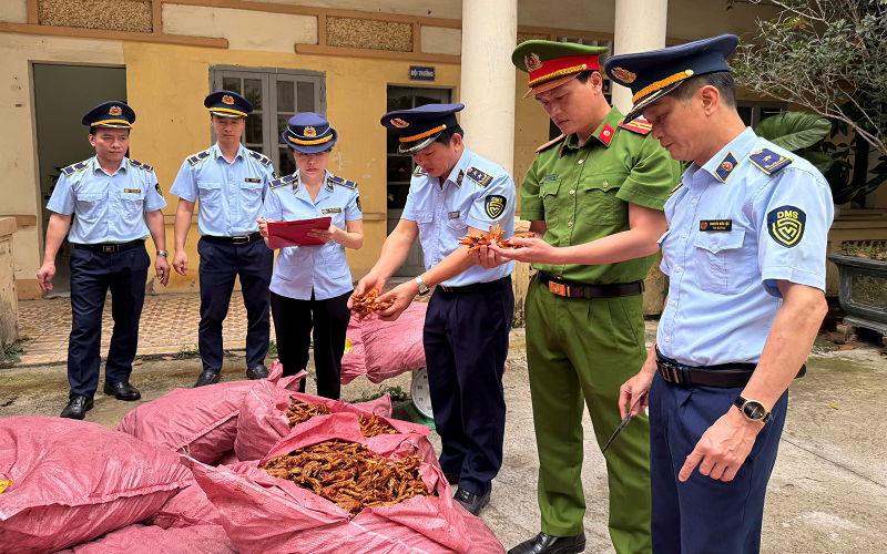 Phát hiện, ngăn chặn 1.500 kg chân gà không rõ nguồn gốc xuất xứ