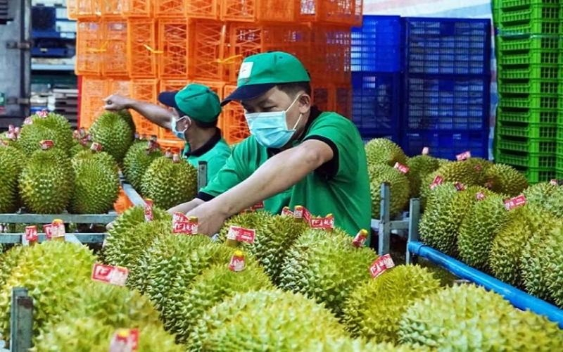 Thủ tướng: Xây dựng, phát triển thương hiệu quốc gia đối với sầu riêng