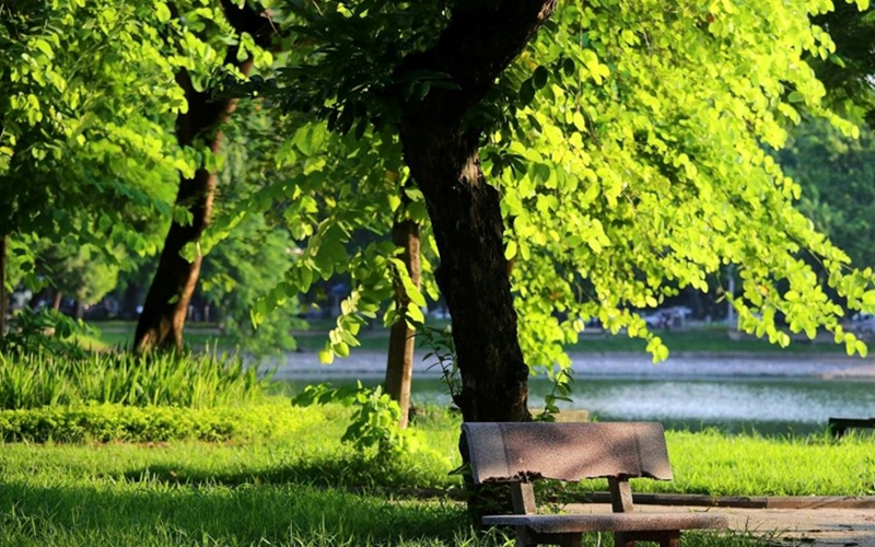Thời tiết hôm nay (6-6): Nhiều nơi nắng nóng