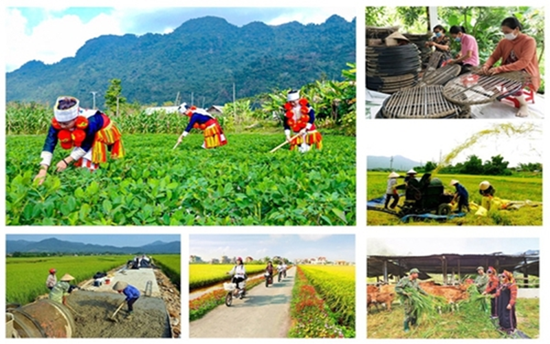 Kế hoạch tổng kết Chương trình mục tiêu quốc gia xây dựng nông thôn mới giai đoạn 2021-2025