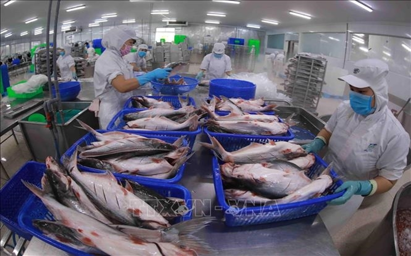 Thủy sản Việt Nam phấn đấu kim ngạch xuất khẩu 14-16 tỷ USD vào năm 2030