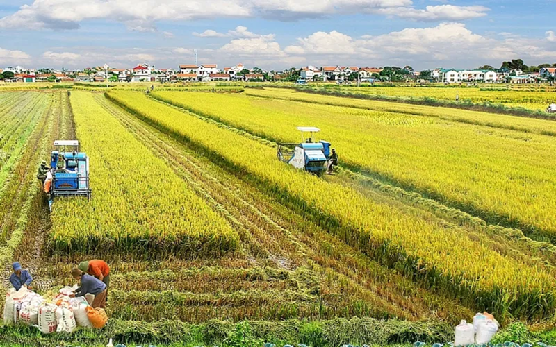 Miễn thuế sử dụng đất nông nghiệp đến hết ngày 31-12-2030