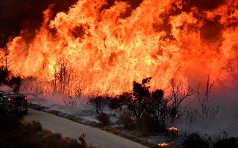 Mỹ: Bang California chống chọi với đám cháy rừng lớn nhất kể từ đầu năm