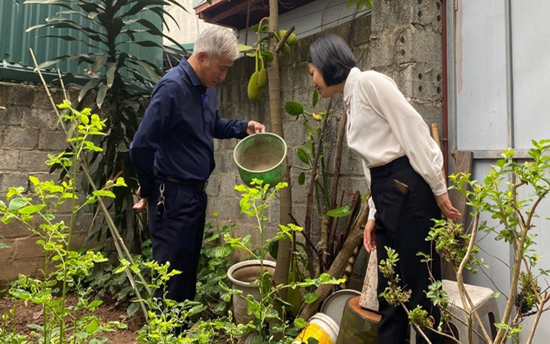 TP Hà Nội: Số ca mắc sốt xuất huyết tăng