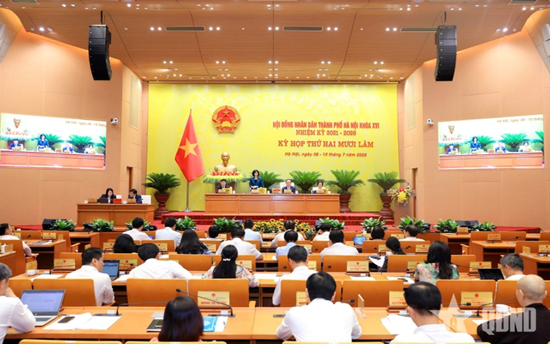 Hà Nội: Hỗ trợ bữa ăn bán trú cho học sinh tiểu học từ năm học 2025-2026
