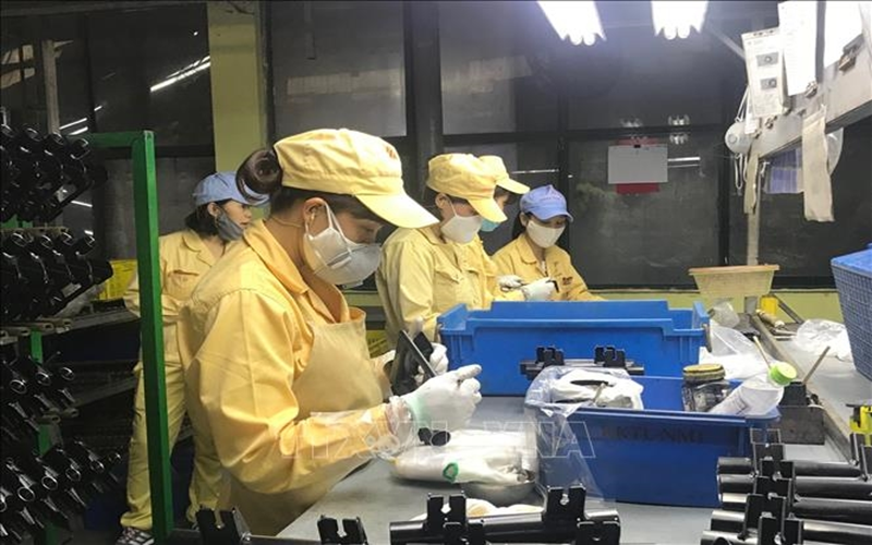 Người lao động được đóng bù bảo hiểm xã hội để hưởng lương hưu