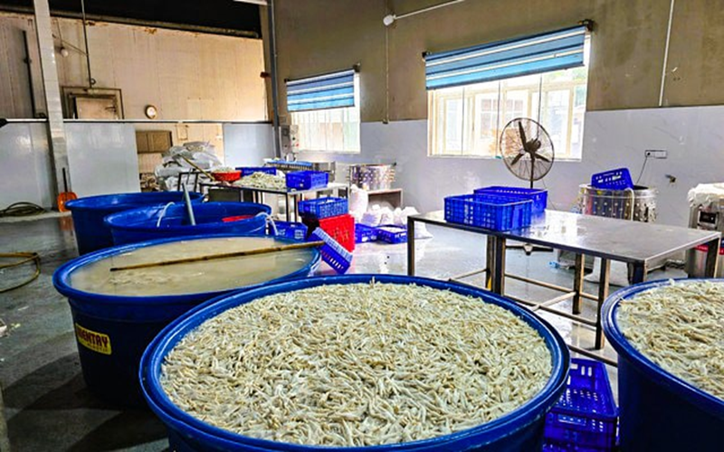 Phát hiện hơn 13 tấn chân gà ngâm hóa chất tại Thanh Hóa