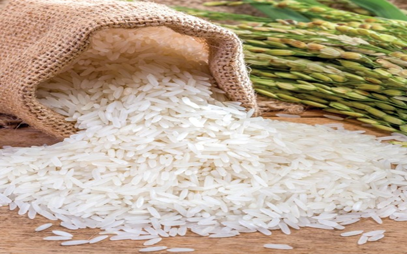 Gạo Séng Cù Mường Lò: Vị ngọt núi rừng, tầm nhìn kết nối chuỗi cung ứng số
