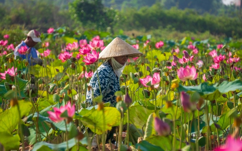 Thời tiết hôm nay (16-7): Ba miền nắng nóng, chiều tối có thể mưa dông