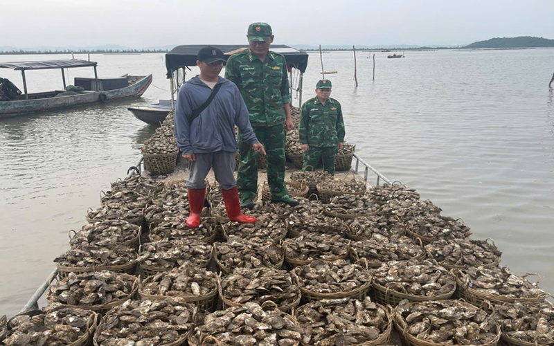Bắt giữ đối tượng vận chuyển trái phép 4 tấn hàu từ Trung Quốc về Việt Nam tiêu thụ