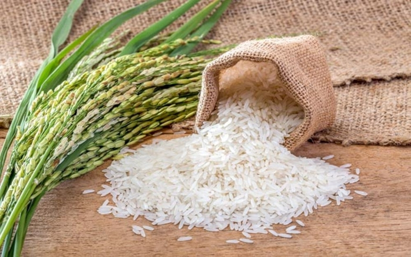 Bản tin nông sản hôm nay (19-7): Giá cà phê quay đầu giảm, hồ tiêu ít biến động