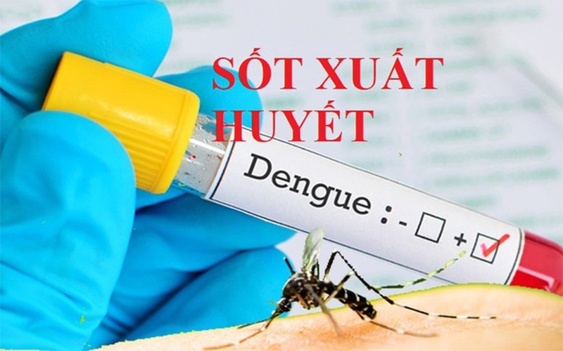 Thủ tướng Chính phủ yêu cầu tăng cường phòng, chống bệnh sốt xuất huyết