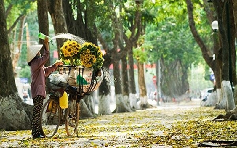 Thời tiết hôm nay (7-8): Miền Bắc giảm mưa, nhiệt độ cao nhất 34 độ C