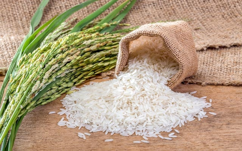 Bản tin nông sản hôm nay (11-8): Giá cà phê ổn định ở vùng đỉnh, hồ tiêu tiếp đà tăng