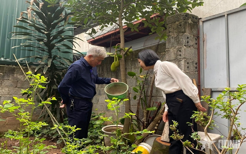 Việt Nam chưa ghi nhận ca bệnh Chikungunya nhưng nguy cơ cao