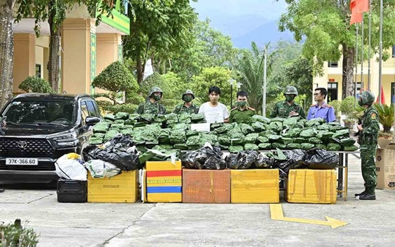 Hà Tĩnh: Bắt một đối tượng, thu giữ 240kg cần sa khô