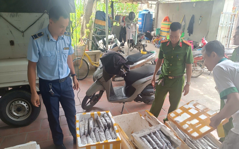 Thanh Hóa tiêu hủy trên 1 tấn thực phẩm không rõ nguồn gốc xuất xứ.