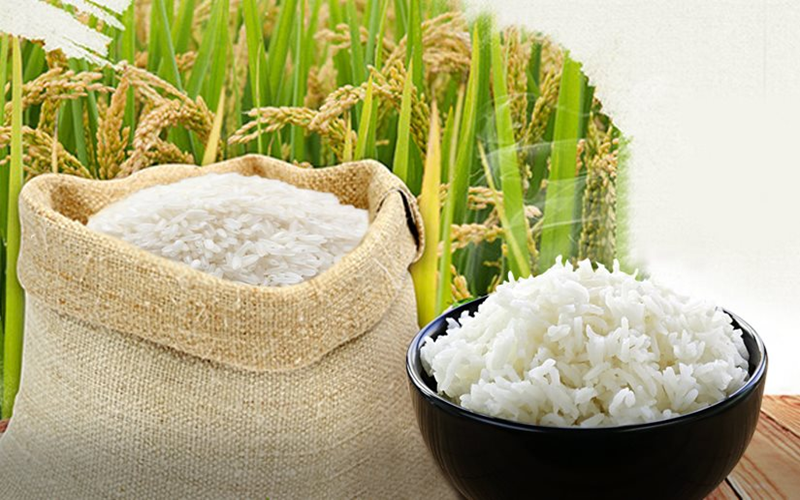 Bản tin nông sản hôm nay (19-8): Giá cà phê tiếp tục tăng, hồ tiêu ổn định ở mức cao