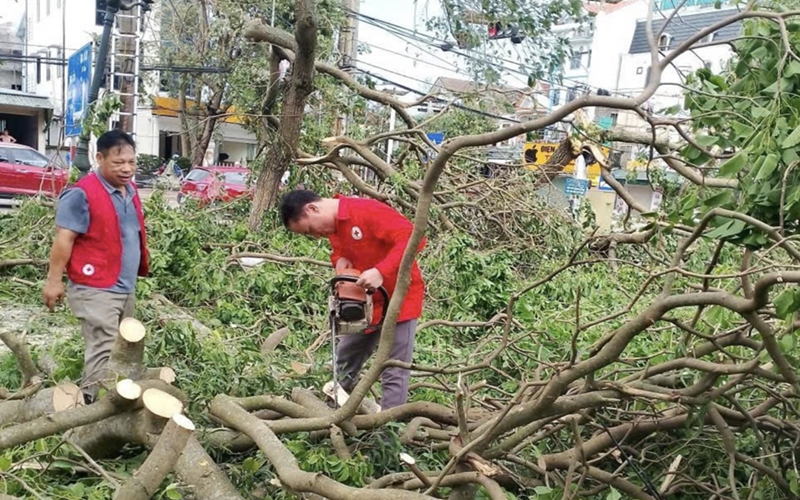 Hội Chữ thập đỏ Việt Nam cứu trợ khẩn cấp người dân 3 tỉnh miền Trung bị thiệt hại do bão số 5