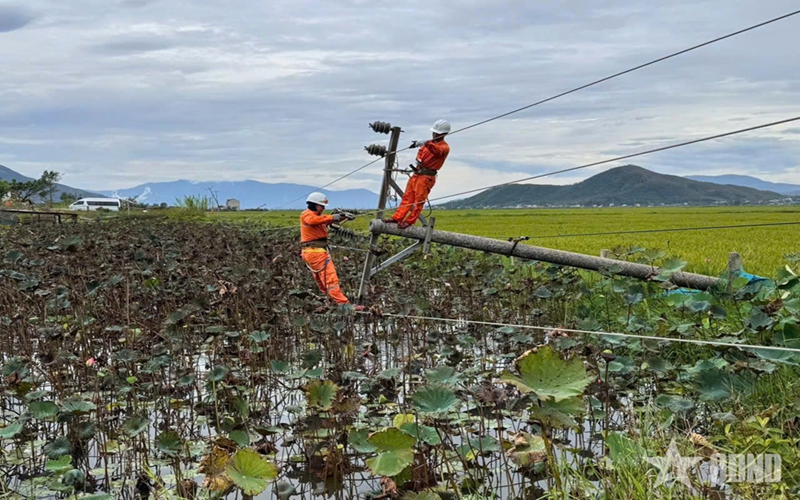 Công ty Điện lực Quảng Trị cử Đội xung kích hỗ trợ khôi phục lưới điện tại xã Kỳ Anh, tỉnh Hà Tĩnh