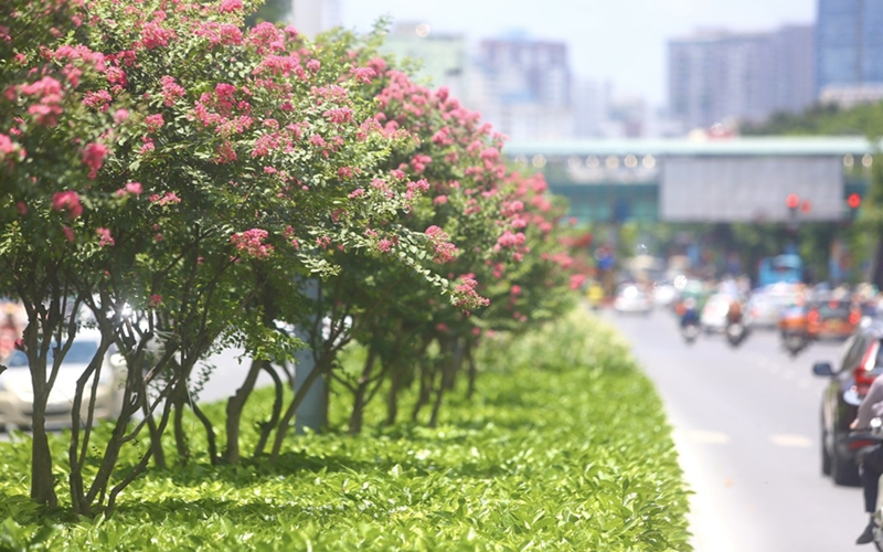 Thời tiết hôm nay (4-9): Bắc Bộ ngày nắng, Nam Bộ có mưa rào và dông