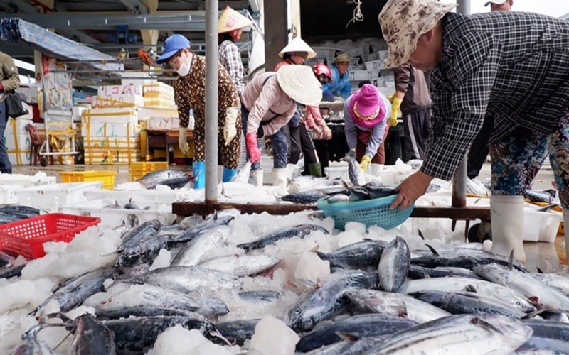 Bộ trưởng Bộ Công Thương gửi thư đề nghị Hoa Kỳ xem xét khách quan về thương mại thủy sản