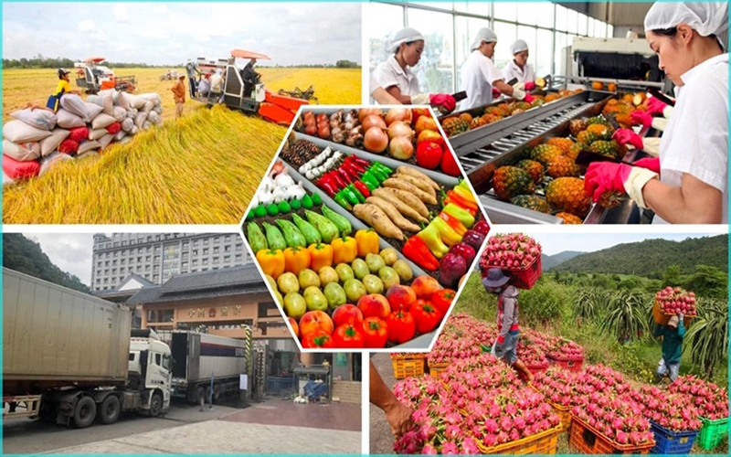 Thủ tướng chỉ đạo nhiều giải pháp trọng tâm thúc đẩy xuất khẩu và phát triển thị trường trong nước