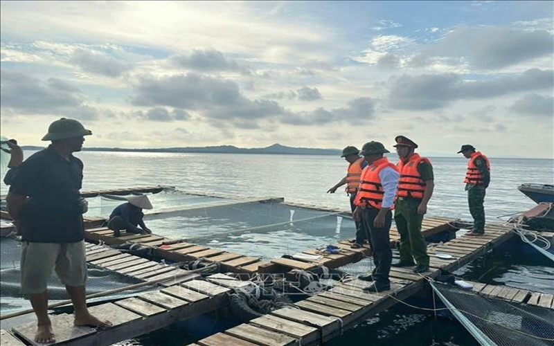 Ảnh hưởng bão số 9, ven biển tỉnh Quảng Ninh nguy cơ cao sạt lở đê, kè biển