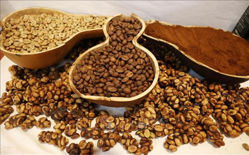 Bản tin nông sản hôm nay (25-9): Giá cà phê giảm