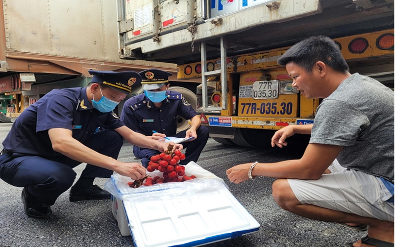 Thủ tướng yêu cầu Bộ Tài chính chỉ đạo lực lượng Hải quan kiểm soát, ngăn chặn nhập khẩu hàng kém chất lượng, hàng vi phạm quyền sở hữu trí tuệ