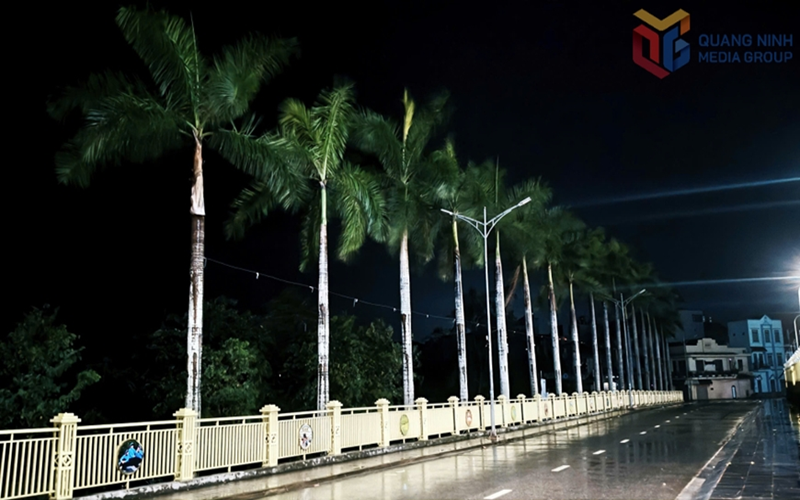 Quảng Ninh: Khu vực Móng Cái mưa nhỏ, gió nhẹ, không có thiệt hại