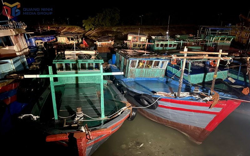 Quảng Ninh: Đặc khu Vân Đồn có mưa vừa, gió cấp 6, chưa ghi nhận thiệt hại