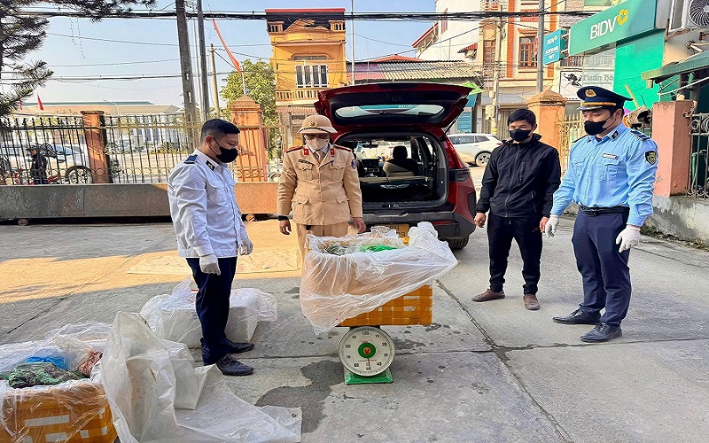 Phú Thọ: Phát hiện và tiêu hủy hơn 100kg nội tạng động vật bốc mùi hôi thối