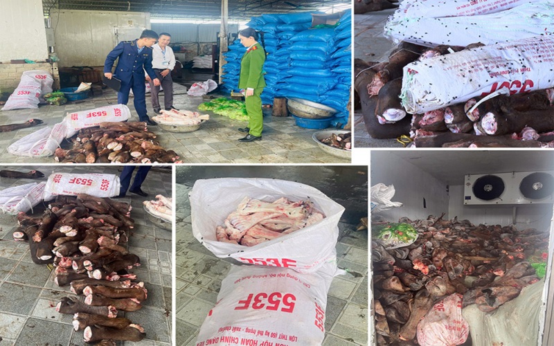 Phát hiện gần 6 tấn xương, đuôi, chân trâu bò bốc mùi trong hai kho lạnh ở Thanh Hóa