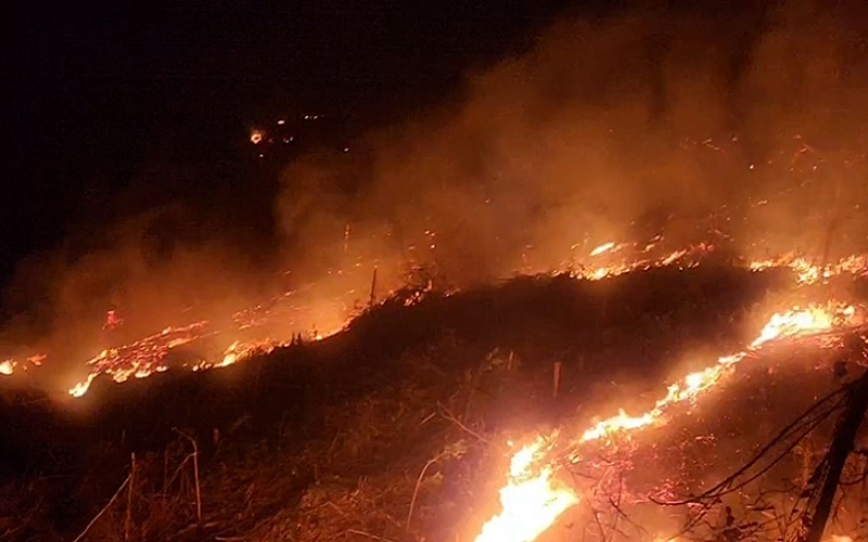 Nghệ An kịp thời huy động lực lượng khống chế cháy rừng trên địa bàn