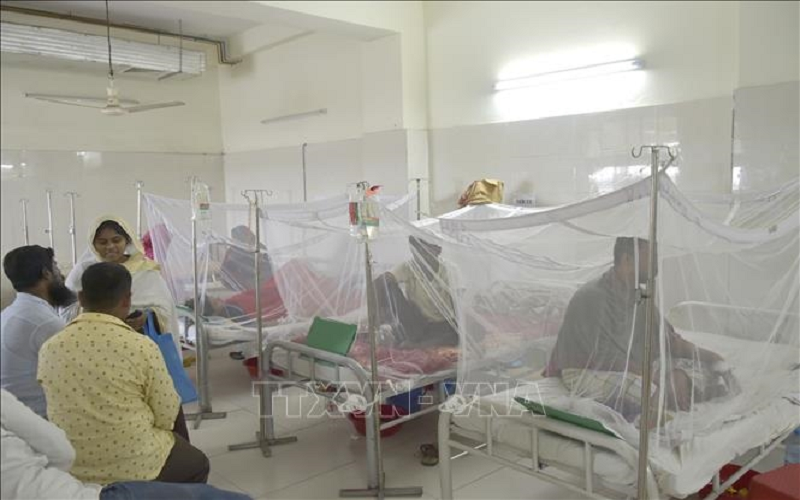 Cảnh báo nguy cơ dịch sốt xuất huyết bùng phát kỷ lục trong năm 2026