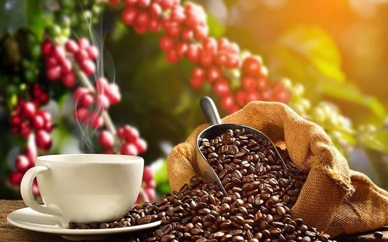 Bản tin nông sản hôm nay (14-4): Giá cà phê tăng