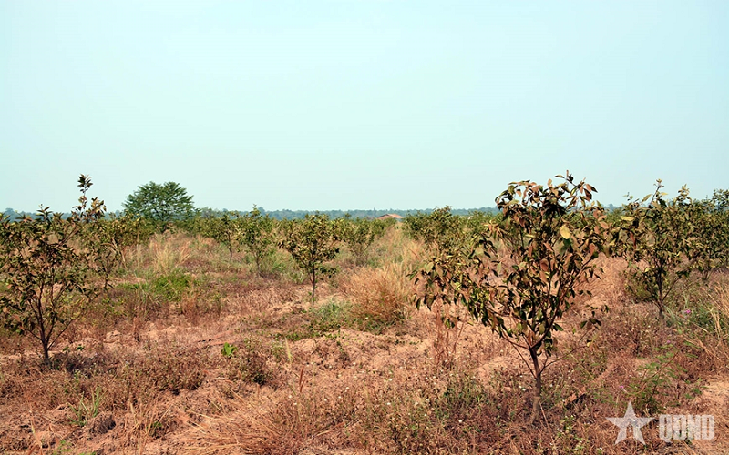 Cảnh báo giữa năm nay El Nino mạnh, nguy cơ hạn hán, thiếu nước và bão mạnh