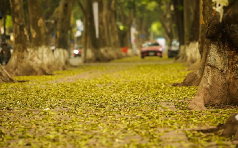 Thời tiết hôm nay (20-4): Bắc Bộ mưa rào, Nam Bộ ngày nắng nóng